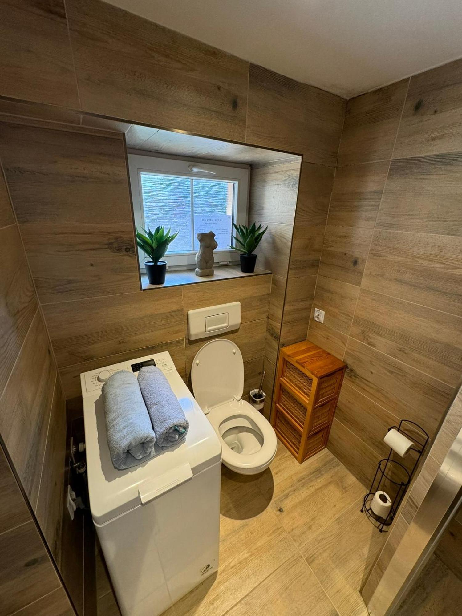 V Srdci Liberce Apartment